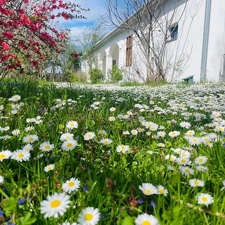 Charmantes Arkadenhaus Mit Großem Garten Ferienhaus *