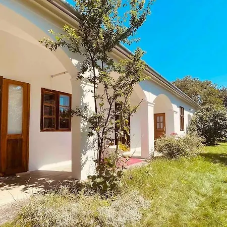 Ferienhaus Charmantes Arkadenhaus Mit Großem Garten *