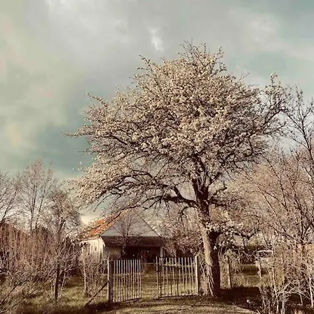 Charmantes Arkadenhaus Mit Großem Garten * Csapod