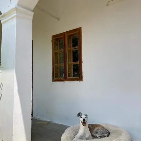 Ferienhaus Charmantes Arkadenhaus Mit Großem Garten *