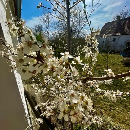 Ferienhaus Charmantes Arkadenhaus Mit Großem Garten Csapod
