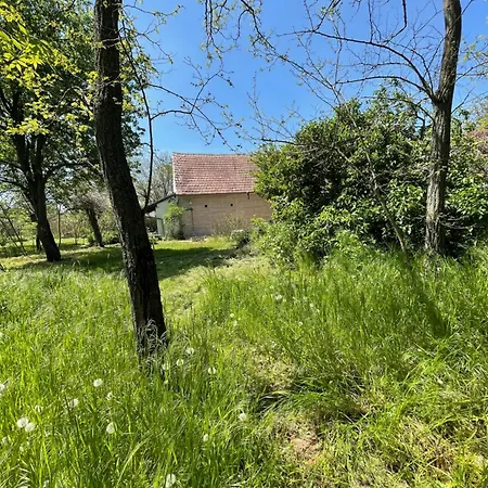 Ferienhaus Charmantes Arkadenhaus Mit Großem Garten Csapod
