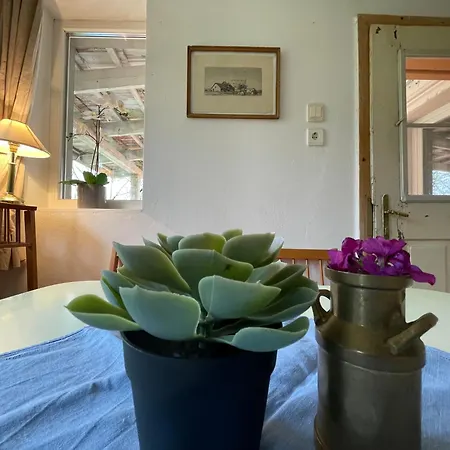 Charmantes Arkadenhaus Mit Großem Garten * Csapod