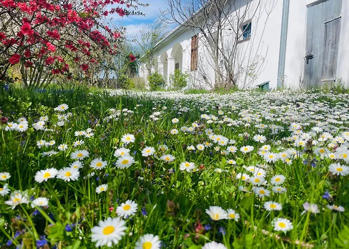 Charmantes Arkadenhaus Mit Grossem Garten Дом отдыха *