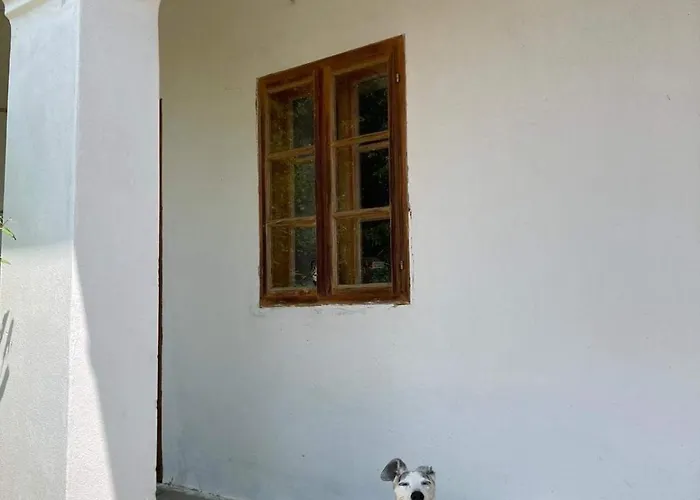 Дом отдыха Charmantes Arkadenhaus Mit Grossem Garten *