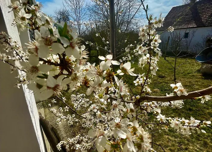 Дом отдыха Charmantes Arkadenhaus Mit Grossem Garten Csapod